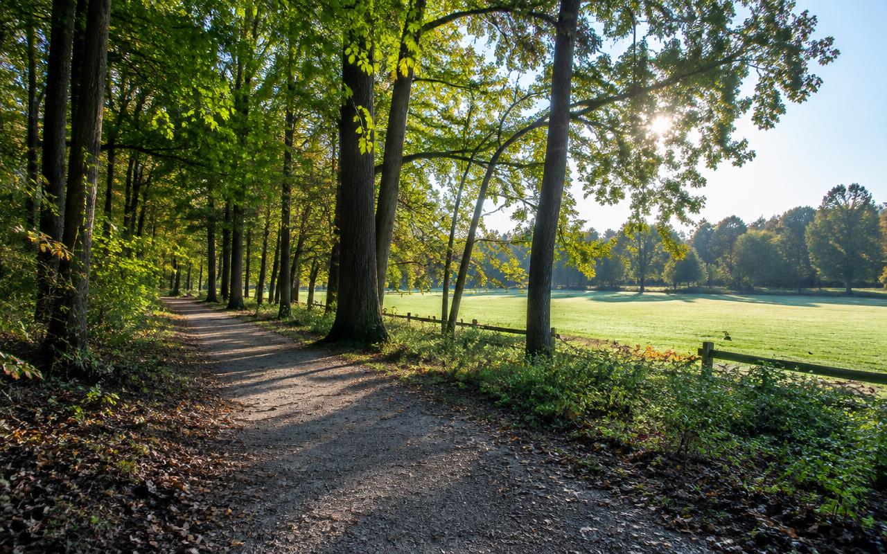 Wooded walking trail near Weddington, North Carolina